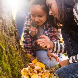 Forest School Fall 2025 | Wed. 4-6pm | 9/24 to 10/29