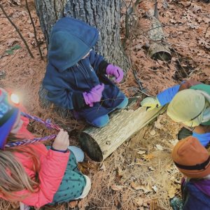 kids investigate the forest